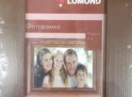 Компания Lomond Фото 7 на сайте Basmannyi.ru