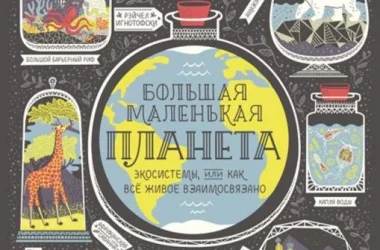 Детский книжный магазин Маршак Фото 2 на сайте Basmannyi.ru