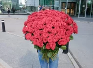 Служба доставки цветов и подарков Повод найдется Фото 2 на сайте Basmannyi.ru