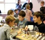 Детская шахматная школа 64 клетки Фото 2 на сайте Basmannyi.ru