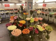 Магазин цветов Мосцветок в Лубянском проезде Фото 3 на сайте Basmannyi.ru