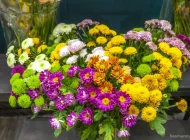 Магазин цветов Июль Фото 8 на сайте Basmannyi.ru