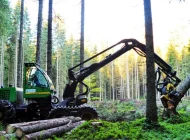 Общественная организация Союз лесопромышленников и лесоэкспортеров России Фото 2 на сайте Basmannyi.ru