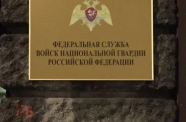 Федеральная служба ВНГ РФ  на сайте Basmannyi.ru