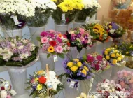 Магазин Много цветов  на сайте Basmannyi.ru
