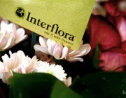 Всемирная служба доставки цветов Interflora  на сайте Basmannyi.ru