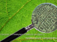 Компания Азимут лимитед Фото 6 на сайте Basmannyi.ru