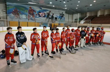 Федерация хоккея с мячом России Фото 2 на сайте Basmannyi.ru