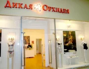 Магазин нижнего белья Дикая Орхидея на улице Земляной Вал Фото 2 на сайте Basmannyi.ru