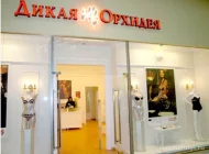 Магазин нижнего белья Дикая Орхидея на улице Земляной Вал Фото 2 на сайте Basmannyi.ru