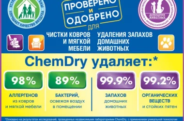 Клининговая компания Chem-dry  на сайте Basmannyi.ru