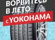 Рекламная компания Redllama Фото 3 на сайте Basmannyi.ru